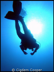 Diver under the sun. by Cigdem Cooper 
